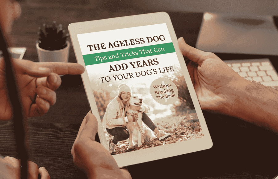 The Ageless Dog ebook bonus