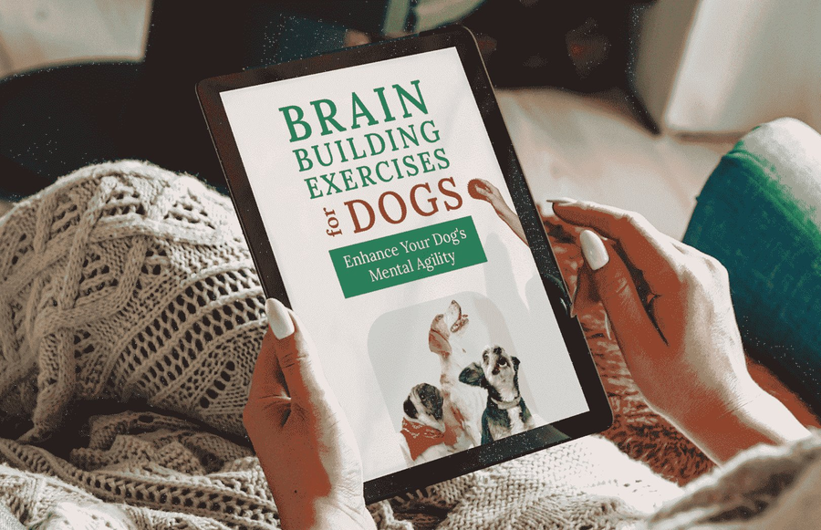 Brain Building Exercises For Dogs ebook bonus